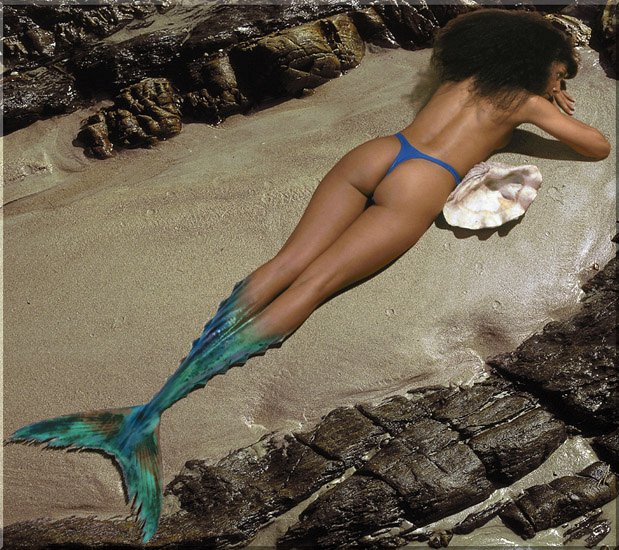 Sirene