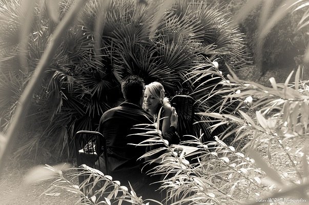 Shoots par Didier Jacquet