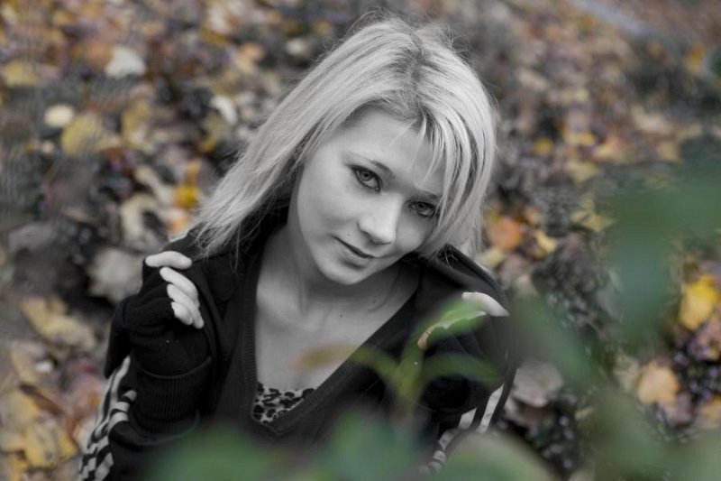 Seance du 16.11.11