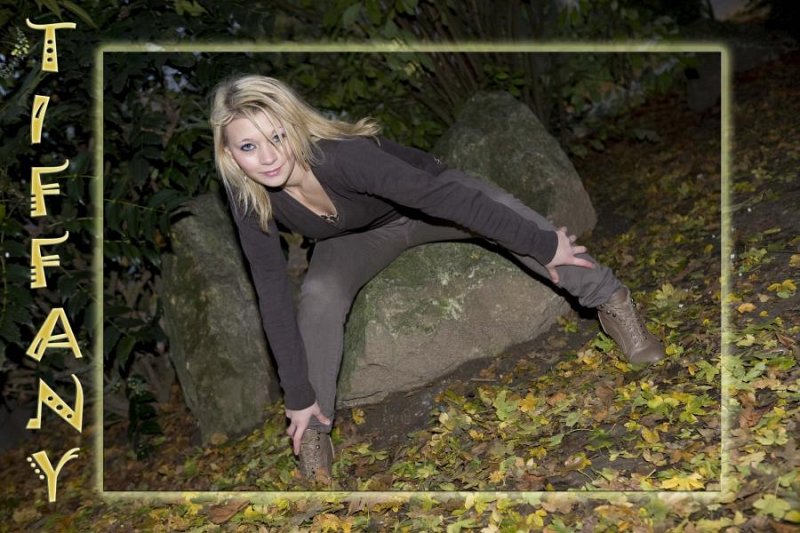 Seance du 16.11.11