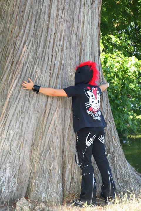 I love mister Tree