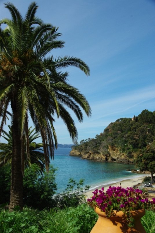 Cavalaire
