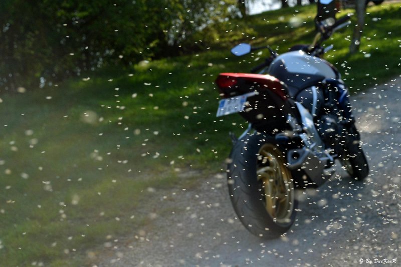 CBR1000R