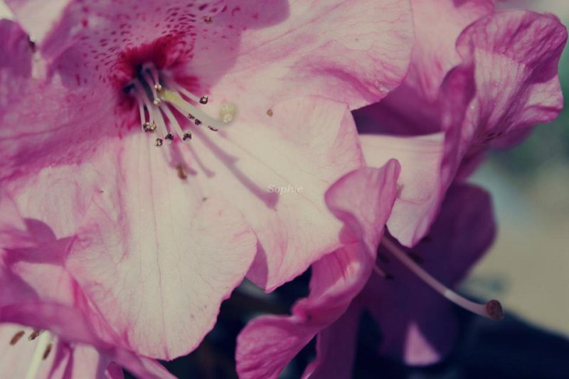 J'aime tellement cette couleur