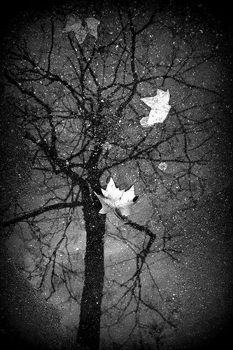 Reflet
