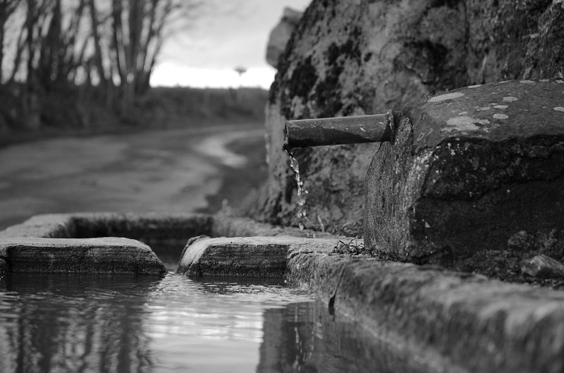 Campagne