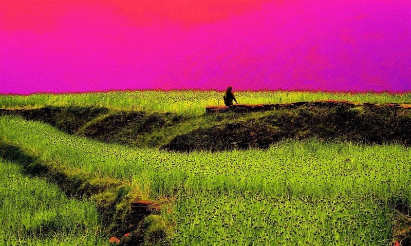 Nepal