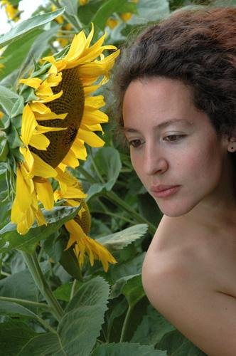 Tournesol