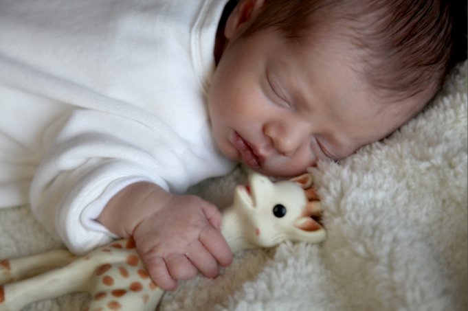 portrait bébé
