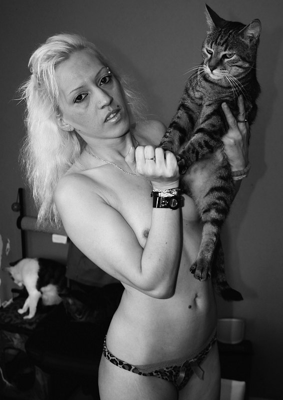 Catsy