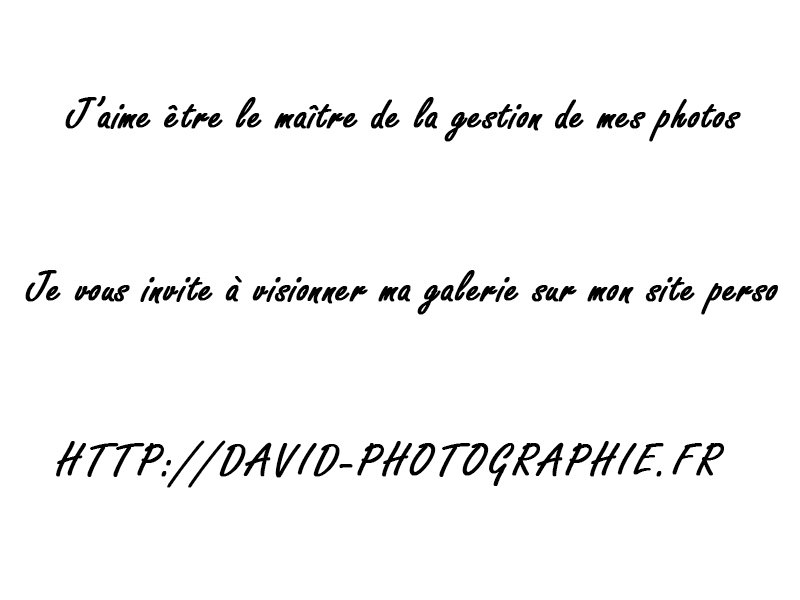 David-photographie