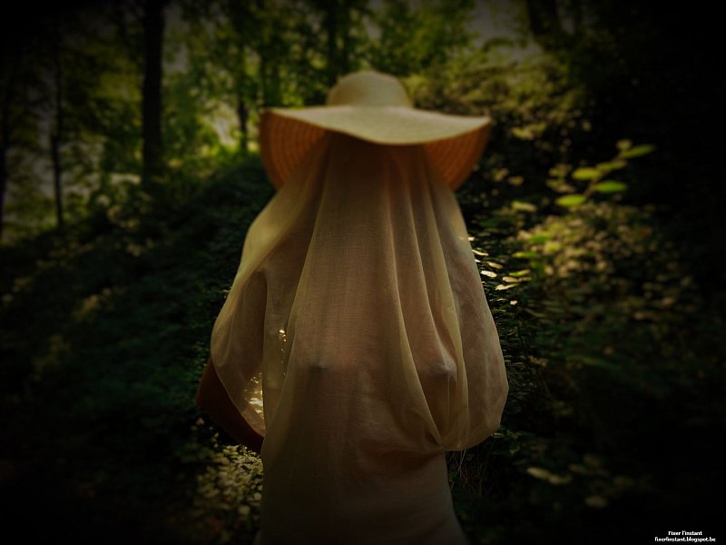 Voile 2