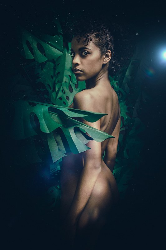 Jungle