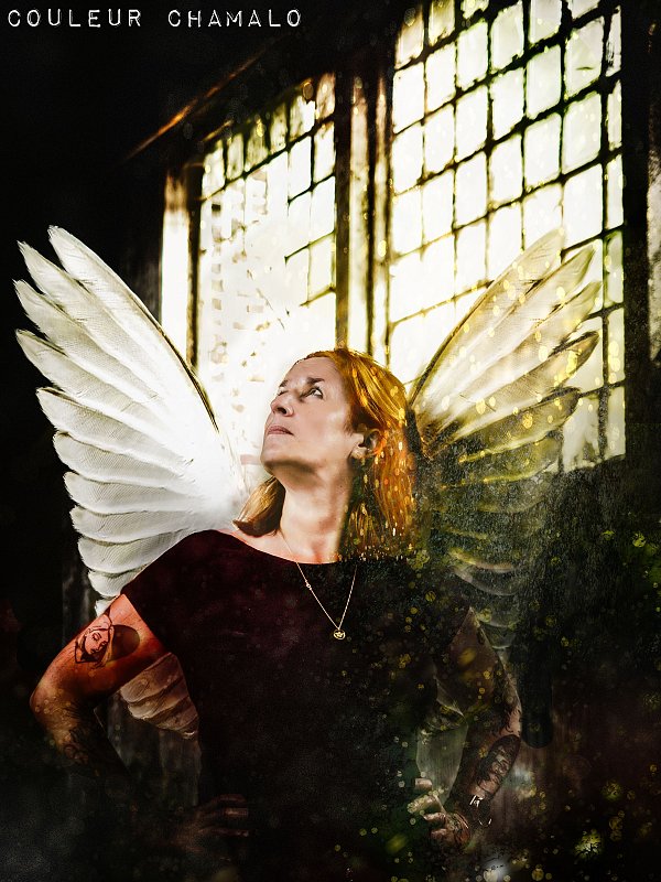 Fly Away